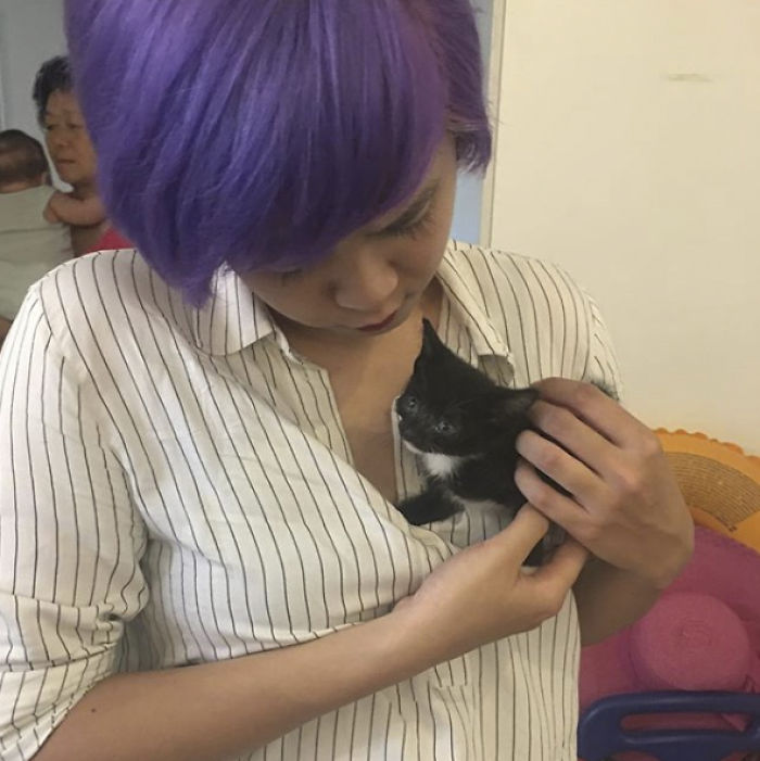 We Rescued This Feisty Dirty Kitty And He Grew Up To Be Such A Dapper Gentleman We Rescued This Feisty Dirty Kitty And He Grew Up To Be Such A Dapper Gentleman