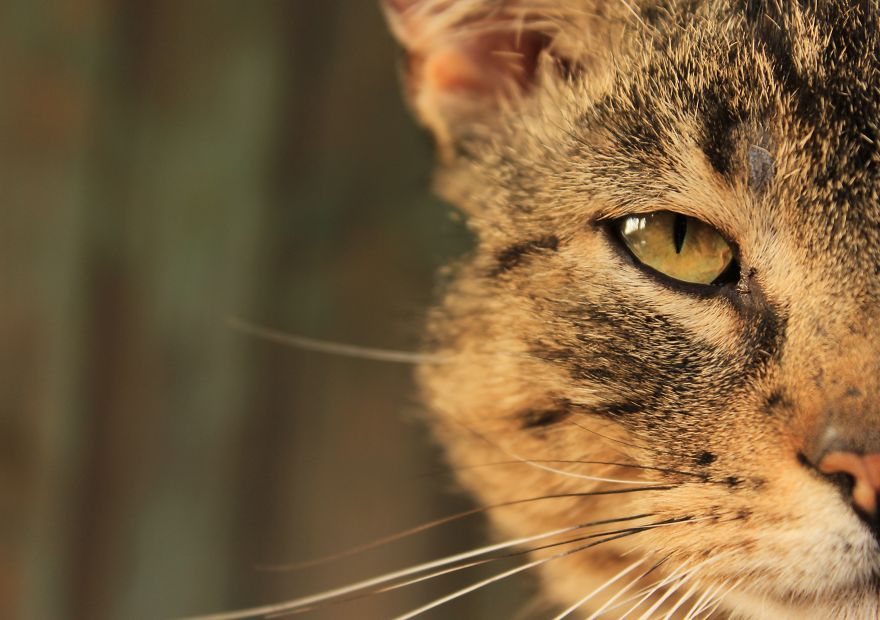 When You're A Young, Amateur Photographer Living In Warsaw When You're A Young, Amateur Photographer Living In Warsaw