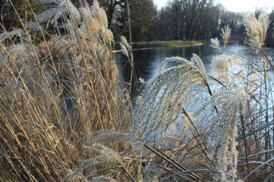 When You're A Young, Amateur Photographer Living In Warsaw