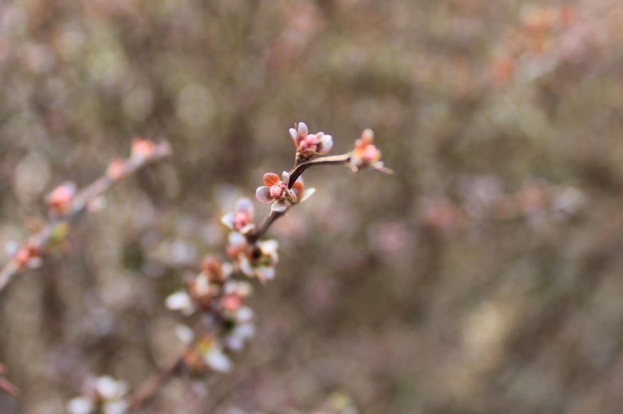 When You're A Young, Amateur Photographer Living In Warsaw