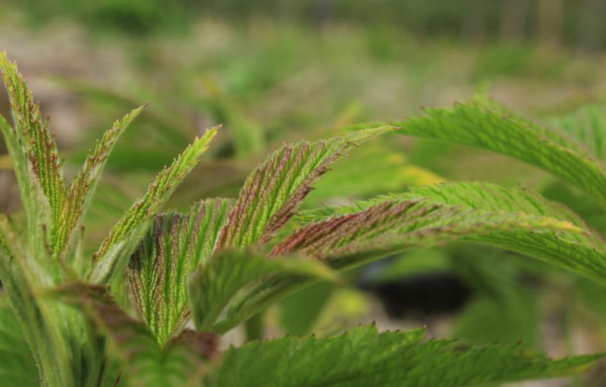 When You're A Young, Amateur Photographer Living In Warsaw When You're A Young, Amateur Photographer Living In Warsaw