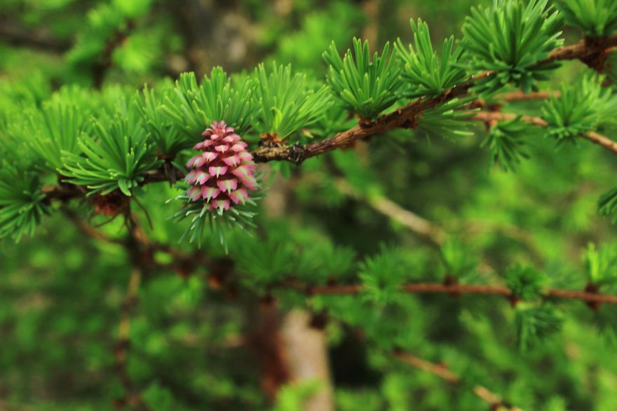 When You're A Young, Amateur Photographer Living In Warsaw When You're A Young, Amateur Photographer Living In Warsaw