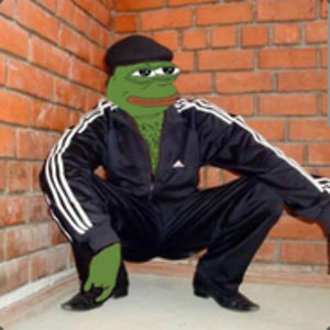 nikolapekovicincredimail2 avatar