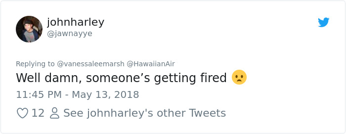 airport-luggage-trowing-hawaiianair-20