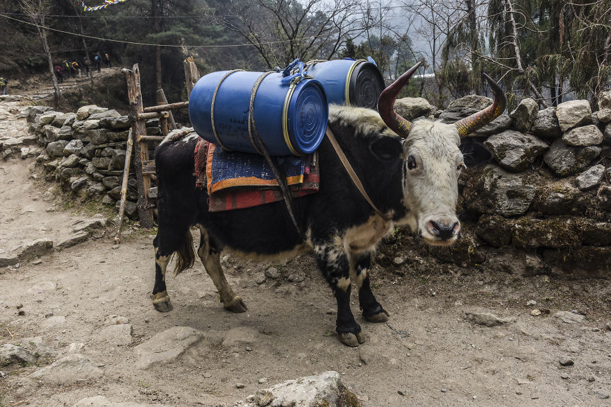 I Travelled 504 Hours, Up To 4500m In Nepal I Travelled 504 Hours, Up To 4500m In Nepal