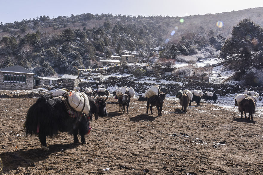 I Travelled 504 Hours, Up To 4500m In Nepal I Travelled 504 Hours, Up To 4500m In Nepal