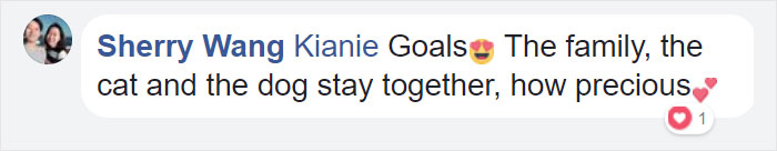 Father, Daughter And Pets Take The Same Photo For 10 Years, And It&rsquo;s Bizarre How Little Things Actually Change