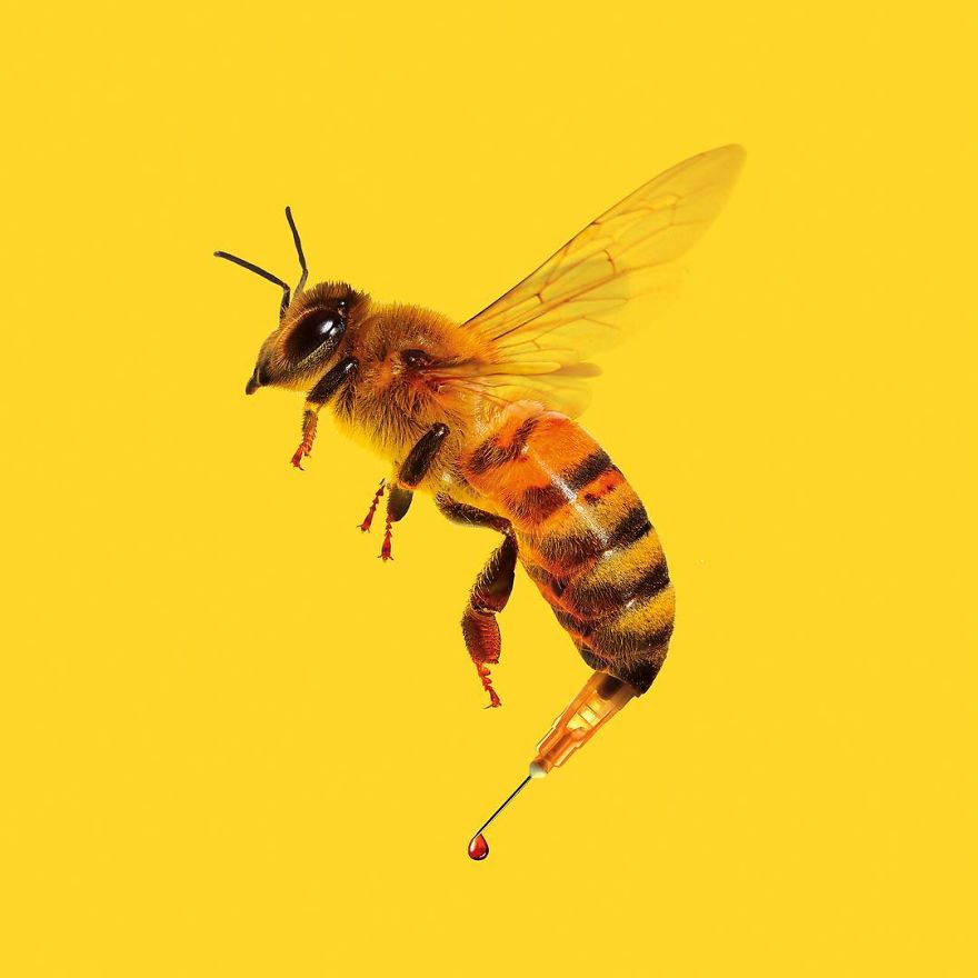 Artist Makes Incredible Manipulations That Will Surely Fiddle With Your Head