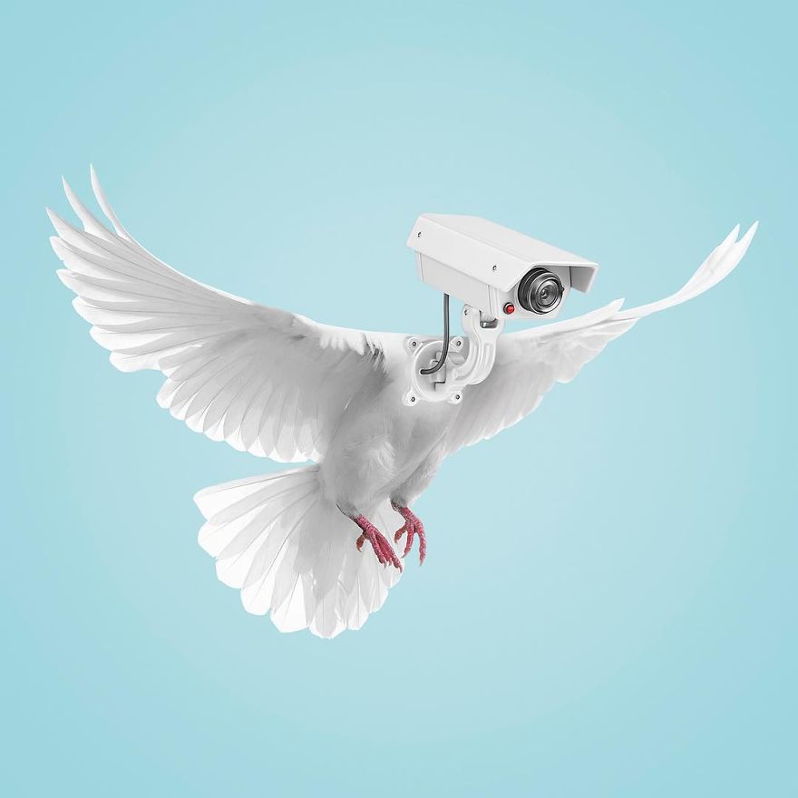 Artist Makes Incredible Manipulations That Will Surely Fiddle With Your Head