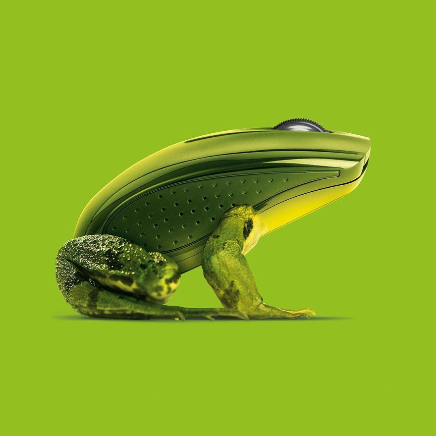 Artist Makes Incredible Manipulations That Will Surely Fiddle With Your Head