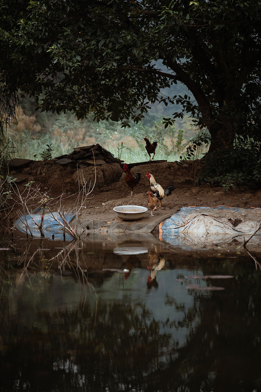 I Photographed Beautiful Vietnam I Photographed Beautiful Vietnam