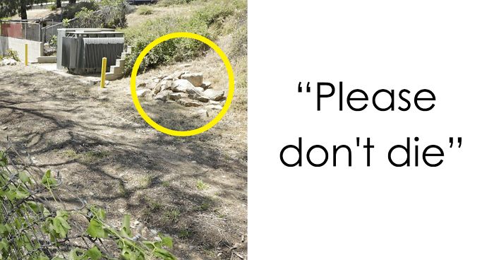 Woman Finds Baby Buried Alive While Jogging, Here’s How He Looks 20 Years Later When They Reunite