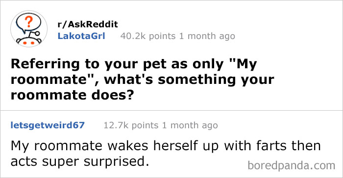 Best-Answers-Ask-Reddit