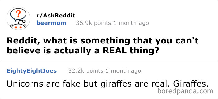 Best-Answers-Ask-Reddit