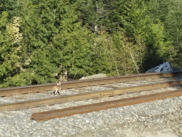 "If You Think You See Something Wrong, Trust Your Instincts" "If You Think You See Something Wrong, Trust Your Instincts"