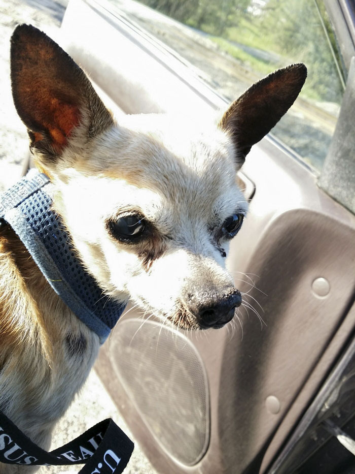 "If You Think You See Something Wrong, Trust Your Instincts" "If You Think You See Something Wrong, Trust Your Instincts"