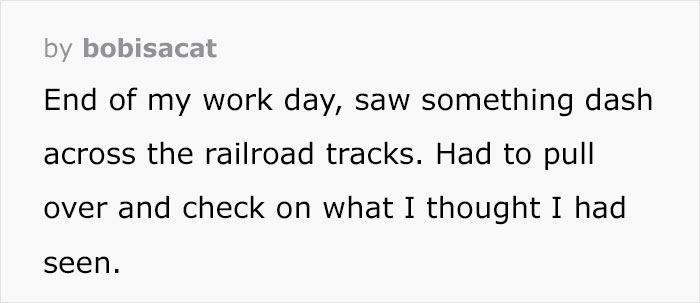 "If You Think You See Something Wrong, Trust Your Instincts" "If You Think You See Something Wrong, Trust Your Instincts"