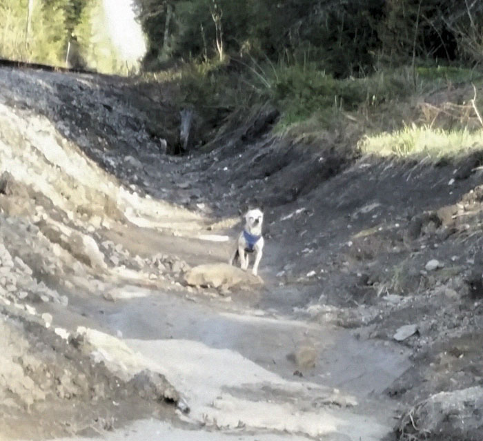 "If You Think You See Something Wrong, Trust Your Instincts" "If You Think You See Something Wrong, Trust Your Instincts"