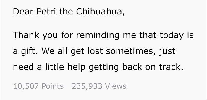 "If You Think You See Something Wrong, Trust Your Instincts" "If You Think You See Something Wrong, Trust Your Instincts"