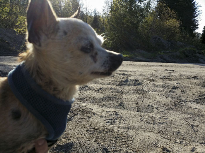 "If You Think You See Something Wrong, Trust Your Instincts" "If You Think You See Something Wrong, Trust Your Instincts"