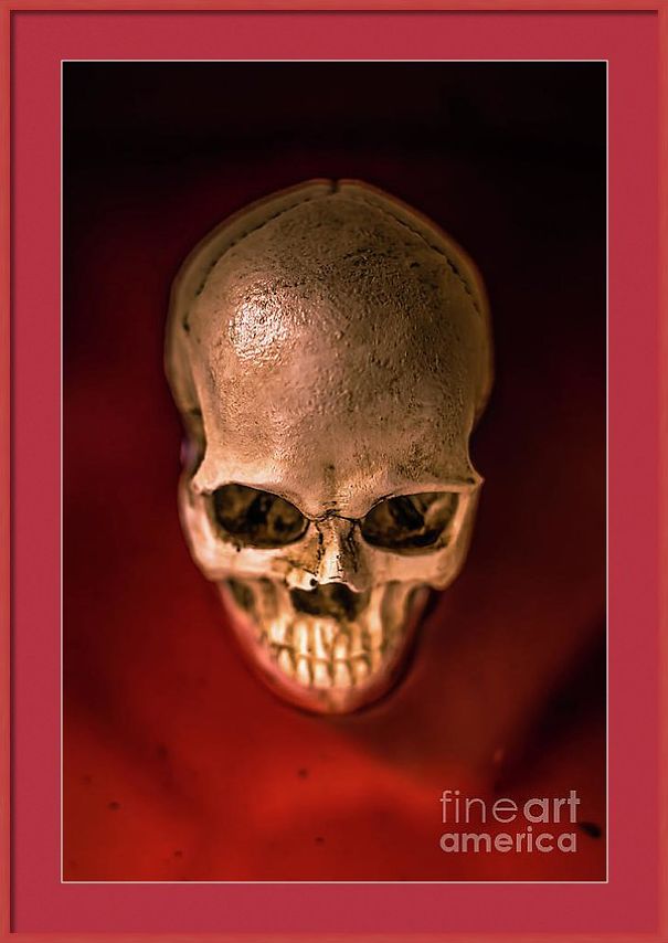 I Create Art Out Of Human Skulls I Create Art Out Of Human Skulls