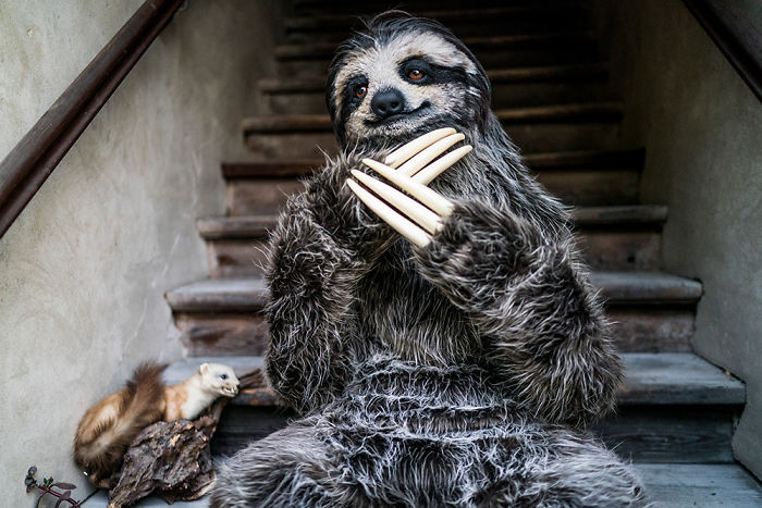 I Created A Realistic Sloth Costume I Created A Realistic Sloth Costume