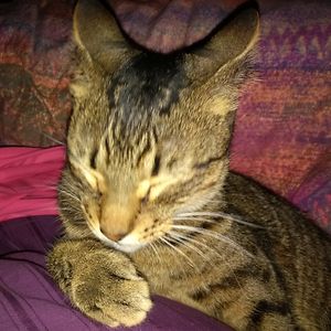 kristaschwabe_1 avatar