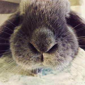 alex27vivarelli avatar