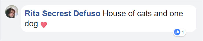 Orphan Kitten Meets Dog Who Lost Her Entire Litter, Becomes The Pup She Never Had Orphan Kitten Meets Dog Who Lost Her Entire Litter, Becomes The Pup She Never Had