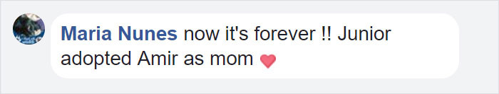 Orphan Kitten Meets Dog Who Lost Her Entire Litter, Becomes The Pup She Never Had Orphan Kitten Meets Dog Who Lost Her Entire Litter, Becomes The Pup She Never Had