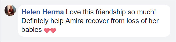 Orphan Kitten Meets Dog Who Lost Her Entire Litter, Becomes The Pup She Never Had Orphan Kitten Meets Dog Who Lost Her Entire Litter, Becomes The Pup She Never Had