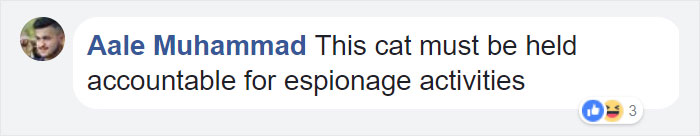 Woman Finally Films The Mysterious 'Lover' That Has Been Bringing Her Flowers, And It's Not What She Expected