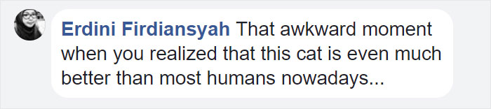 Woman Finally Films The Mysterious 'Lover' That Has Been Bringing Her Flowers, And It's Not What She Expected Woman Finally Films The Mysterious 'Lover' That Has Been Bringing Her Flowers, And It's Not What She Expected