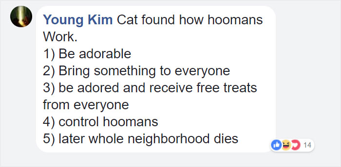 Woman Finally Films The Mysterious 'Lover' That Has Been Bringing Her Flowers, And It's Not What She Expected