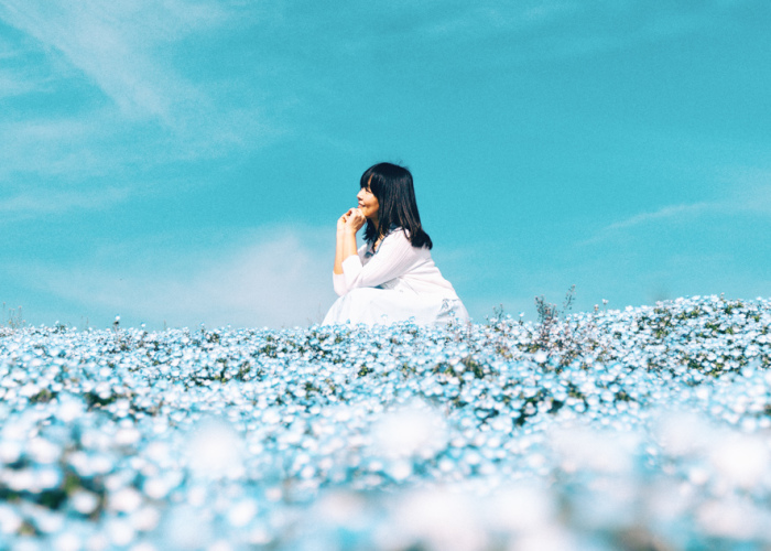 I Photographed This Incredible Park In Japan With 4.5 Million Blooming Baby Blue Eyes
