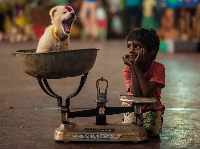 My Selection Of Fairy Tale-Like Photos Of Kids And Animals