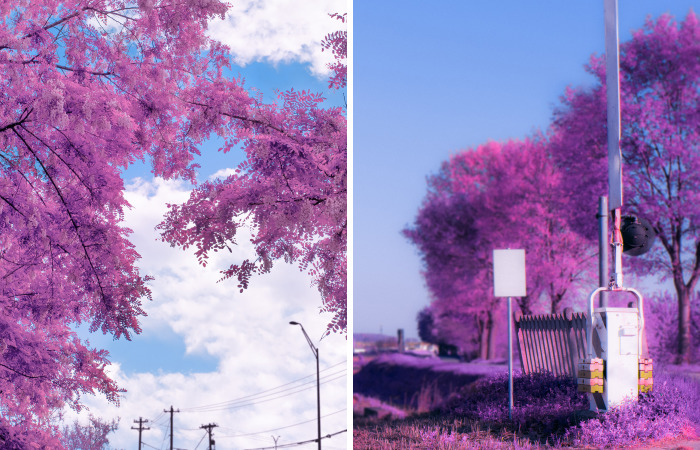 I Shoot Photos Inspired By Japanese Anime