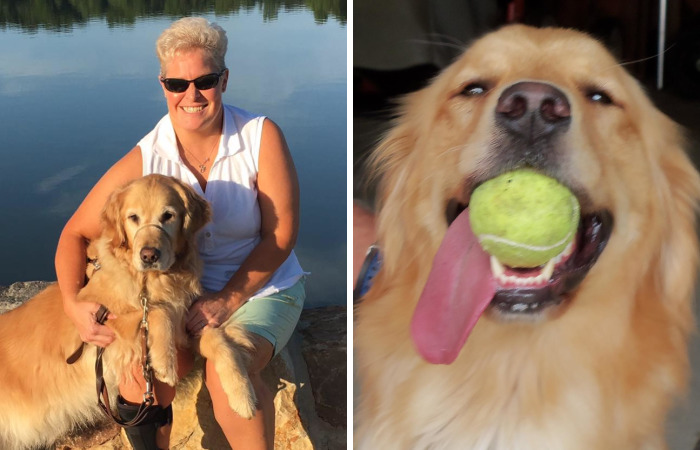 Blind Woman Sees Her Guide Dog For The First Time In 8 Years, And Her Reaction Will Make You Cry