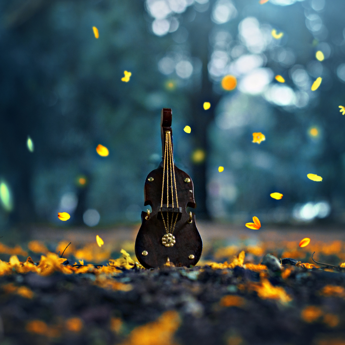 I Try To Add Daily Objects In My Still Life Photography