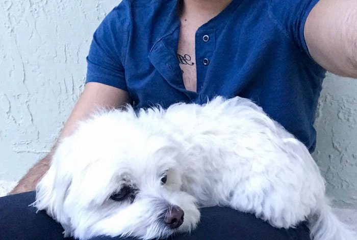 Son Notices Something Weird When His Dad Picks Dog Up From Groomer, And People Are Dying From Laughter Son Notices Something Weird When His Dad Picks Dog Up From Groomer, And People Are Dying From Laughter