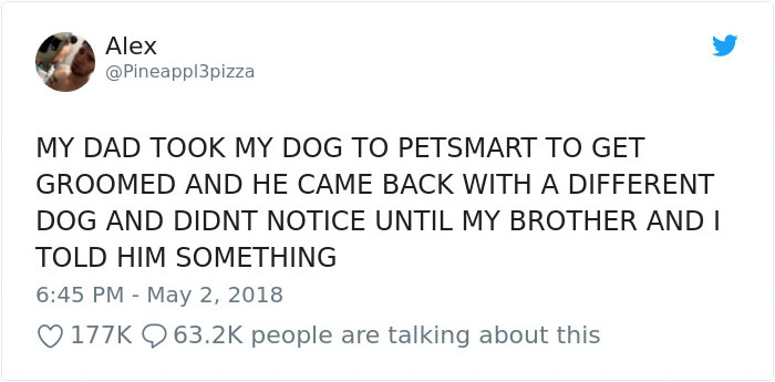 Son Notices Something Weird When His Dad Picks Dog Up From Groomer, And People Are Dying From Laughter Son Notices Something Weird When His Dad Picks Dog Up From Groomer, And People Are Dying From Laughter