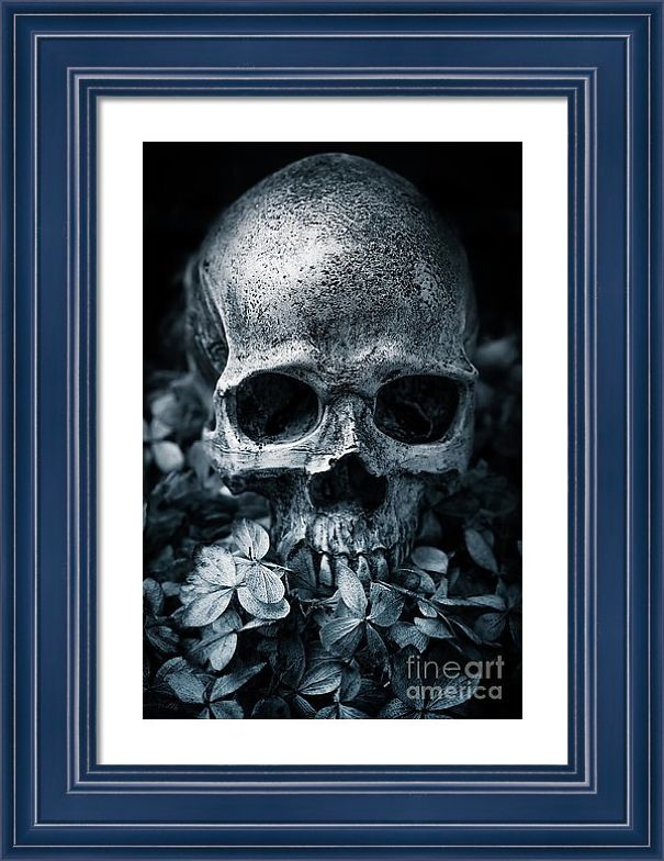 I Create Art Out Of Human Skulls