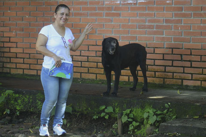 After Seeing Students Use Money To Buy Food, Dog Uses Leaves To Get Some Too After Seeing Students Use Money To Buy Food, Dog Uses Leaves To Get Some Too