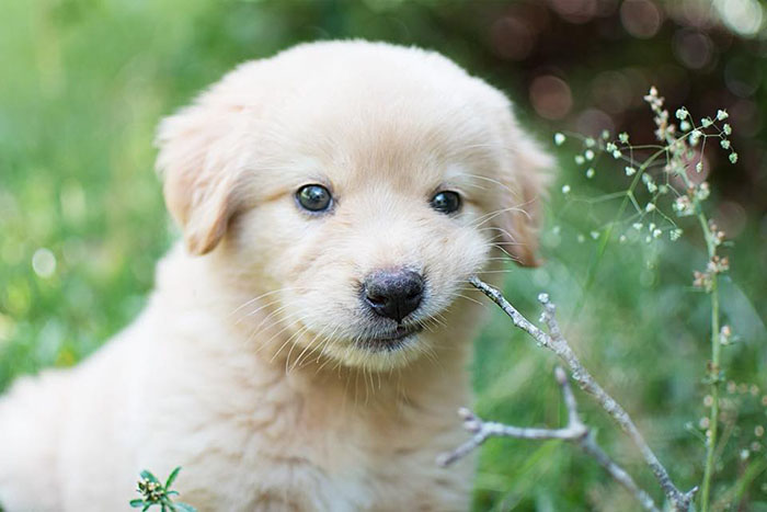 Guy Thinks His Wife Is Announcing Her Pregnancy, Gets Surprise Of A Lifetime Guy Thinks His Wife Is Announcing Her Pregnancy, Gets Surprise Of A Lifetime