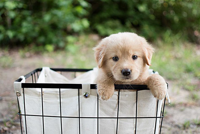 Guy Thinks His Wife Is Announcing Her Pregnancy, Gets Surprise Of A Lifetime Guy Thinks His Wife Is Announcing Her Pregnancy, Gets Surprise Of A Lifetime