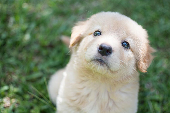 Guy Thinks His Wife Is Announcing Her Pregnancy, Gets Surprise Of A Lifetime