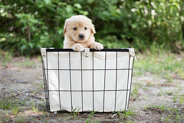 Guy Thinks His Wife Is Announcing Her Pregnancy, Gets Surprise Of A Lifetime Guy Thinks His Wife Is Announcing Her Pregnancy, Gets Surprise Of A Lifetime