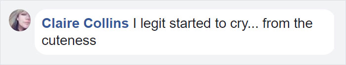 Guy Thinks His Wife Is Announcing Her Pregnancy, Gets Surprise Of A Lifetime