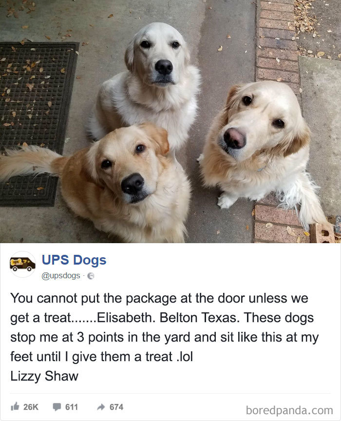 Ups Dogs
