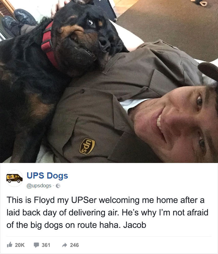 Ups Dogs